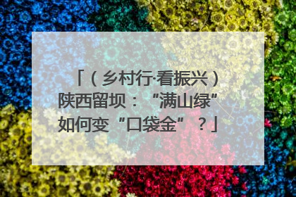 （乡村行·看振兴）陕西留坝：“满山绿”如何变“口袋金”？
